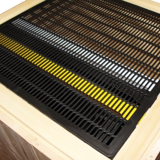 Griglia escludi regina - plastica nera fusa